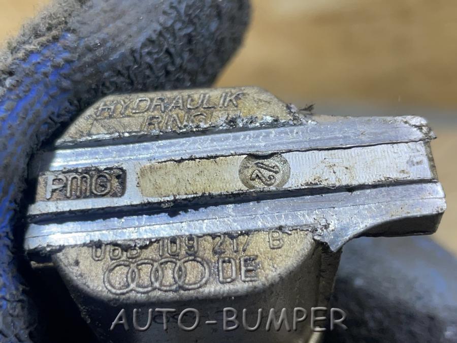 Audi A4 2001- Натяжитель 06B109217B